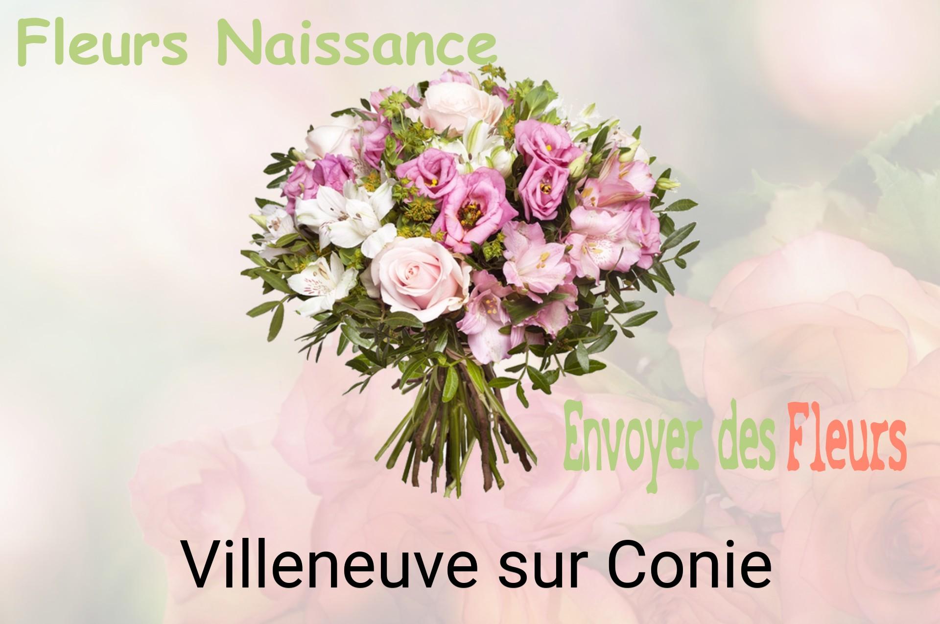 Bouquet de fleurs de naissance livré à Villeneuve-sur-Conie