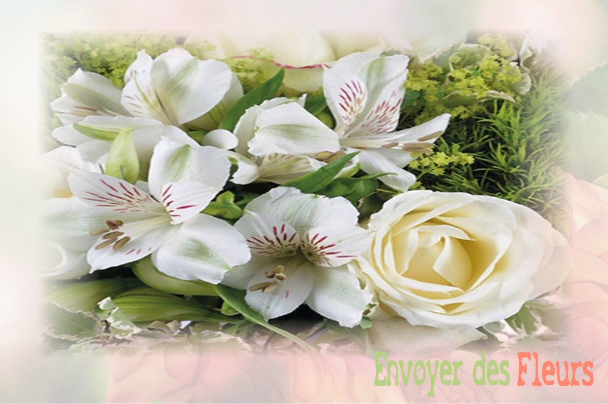envoyer des fleurs à à VILLENEUVE-SUR-CONIE