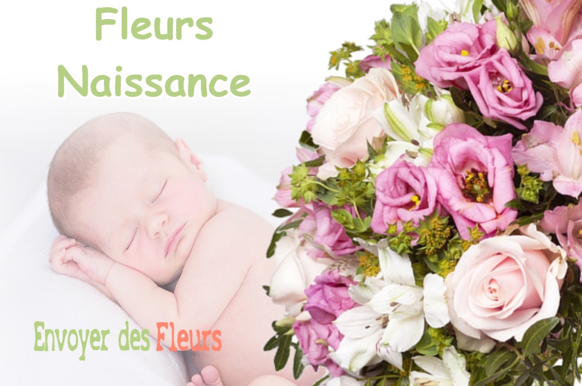 lIVRAISON FLEURS NAISSANCE à VILLENEUVE-SUR-CONIE